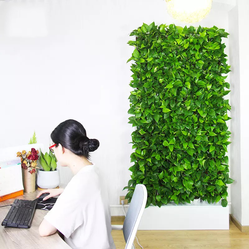 Hydroponic Kit - ชุดปลูกพืชไฮโดรโปนิกส์ในร่ม 2 ตารางเมตร แบบแขวนผนัง พร้อมปั๊มน้ำ ระบบควบคุมอัจฉริยะ