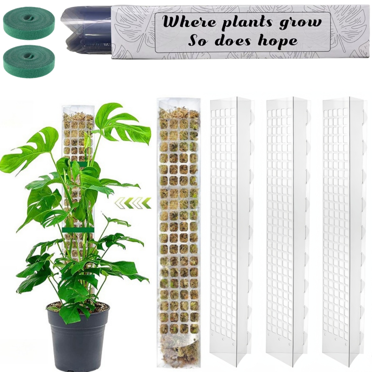 Indoor Herb Garden - MOSS POLE พลาสติกยืนในร่มพืชปีนเขา Guardian Tutors หม้อ