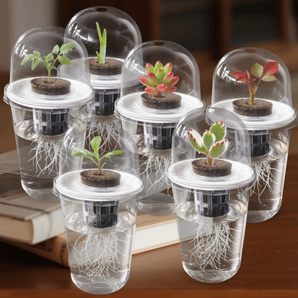 Seed Starter Tray - ถ้วยเพาะเมล็ดแบบใส 1-5 ชิ้น สำหรับปลูกพืชแบบไฮโดรโปนิกส์ กระถางเพาะเมล็ดแบบใช้ซ้ำได้ ทนทาน