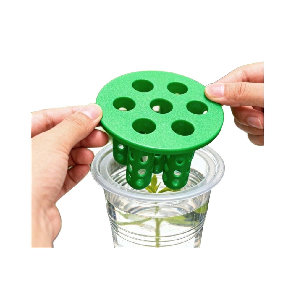Hydroponic Kit - ชุดปลูกต้นหอม 4 ชิ้น: ภาชนะปลูกสำหรับปลูกต้นหอมบนขอบหน้าต่าง / กระถางปลูกใส