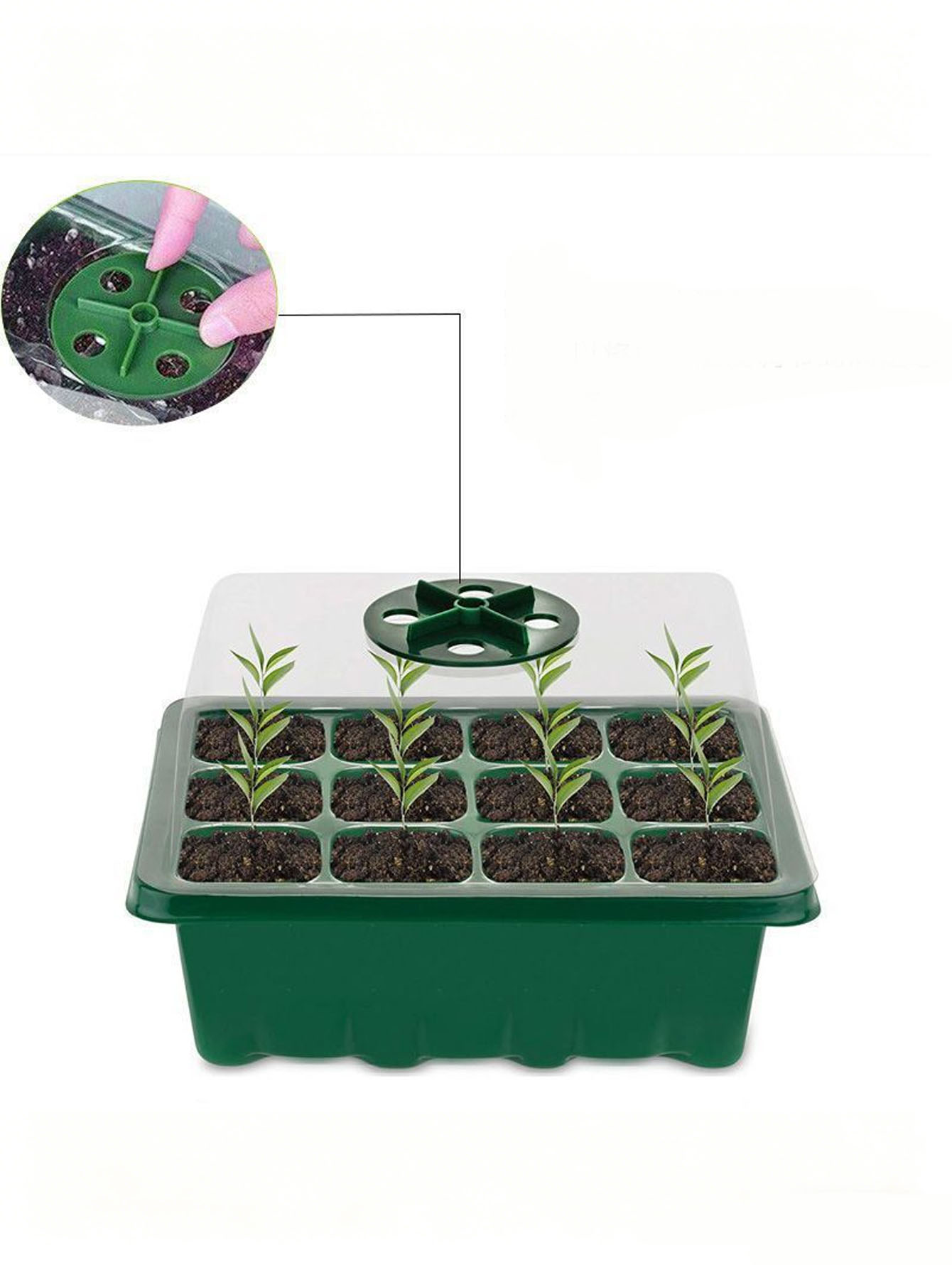 Seed Starter Tray - ถาดเพาะกล้า 1/2 ชิ้น 6/12 หลุม พลาสติกหนาพร้อมรูระบายน้ำ