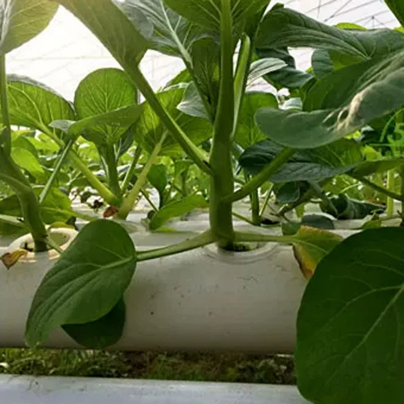 Hydroponic Kit - ชุดอุปกรณ์สำหรับระบบปลูกพืชไร้ดิน, สวนไฮโดรโปนิกส์ที่ทำจากท่อพีวีซี, อุปกรณ์สำหรับปลูกผักและสมุนไพร, ระบบหมุนเวียนน้ำอัตโนมัติ