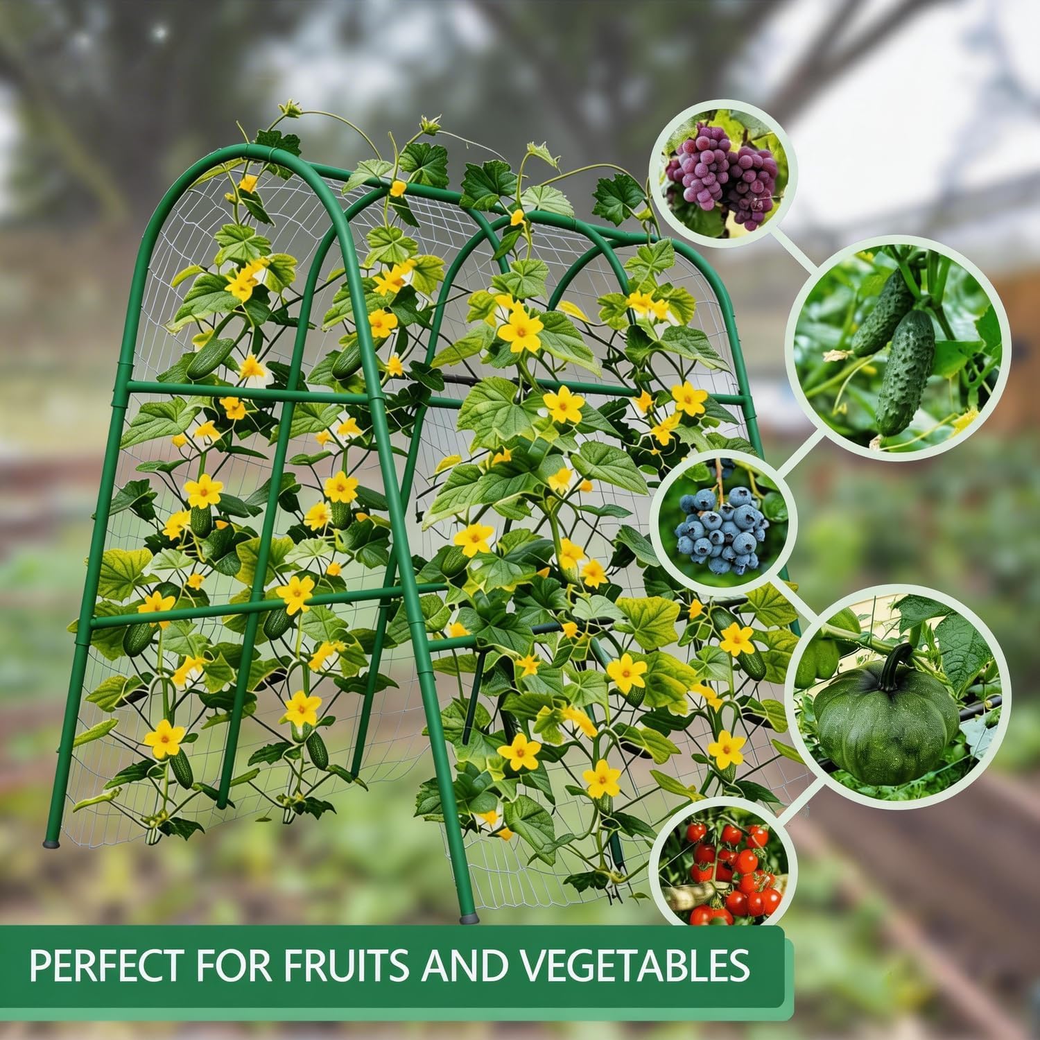 โครงโค้งสำหรับสวนขนาด 4x5.3 ฟุ - Raised Garden Bed บทวิจารณ์และราคา