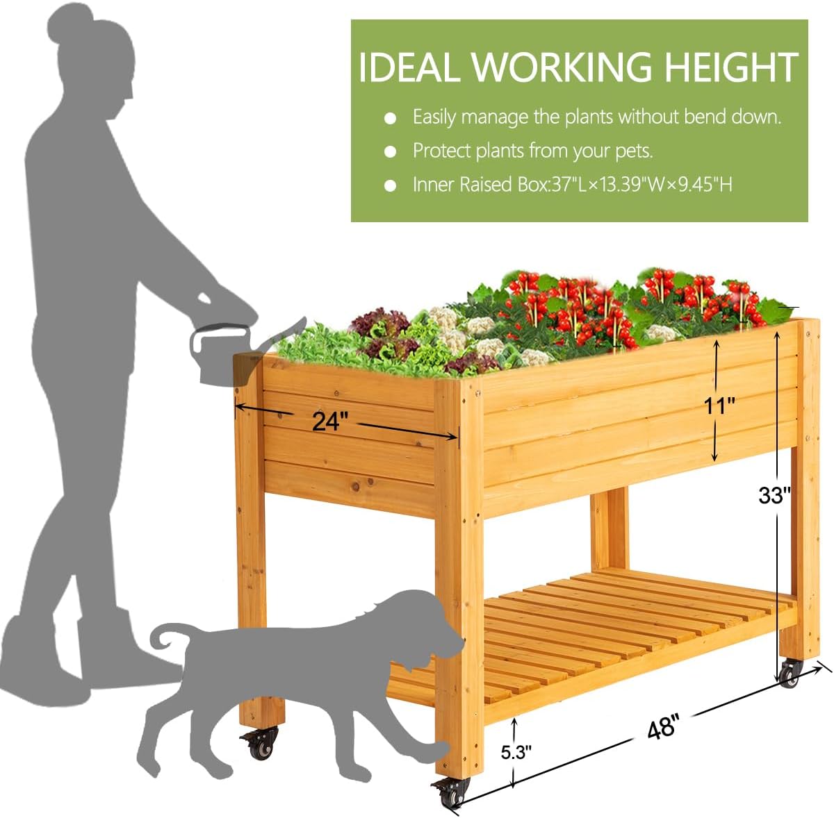 แปลงปลูกผักยกพื้นแบบเคลื่อนย้า - Raised Garden Bed บทวิจารณ์และราคา