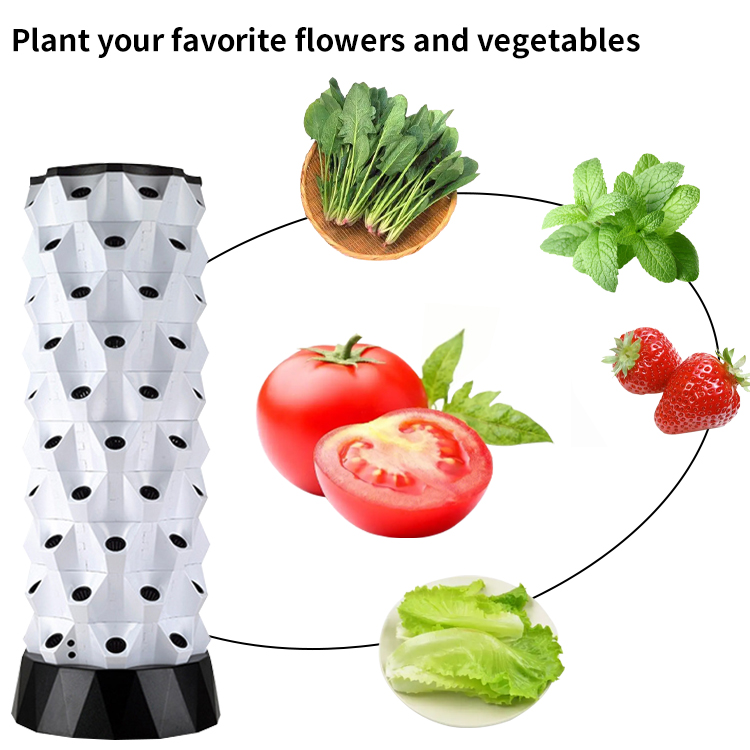 ชุดปลูกพืชไฮโดรโปนิกส์อัจฉริยะ - Hydroponic Kit บทวิจารณ์และราคา