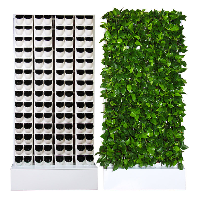 ชุดปลูกพืชไฮโดรโปนิกส์ในร่ม 2  - Hydroponic Kit บทวิจารณ์และราคา