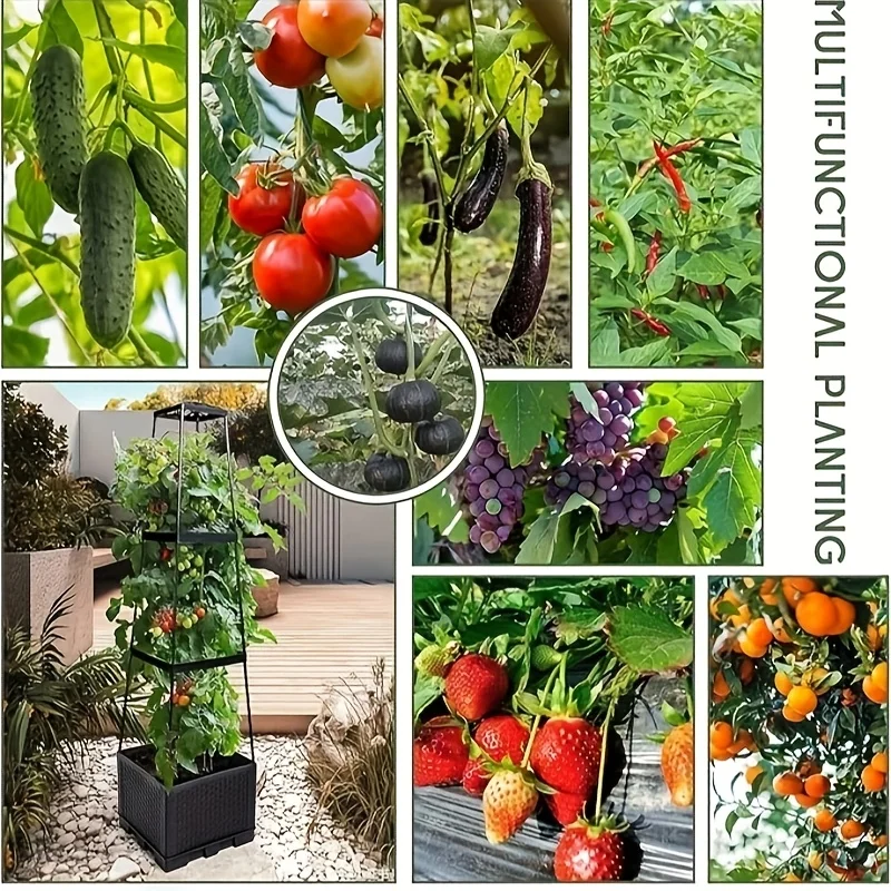 ชุดโครงสร้างสำหรับปลูกมะเขือเท - Indoor Herb Garden บทวิจารณ์และราคา