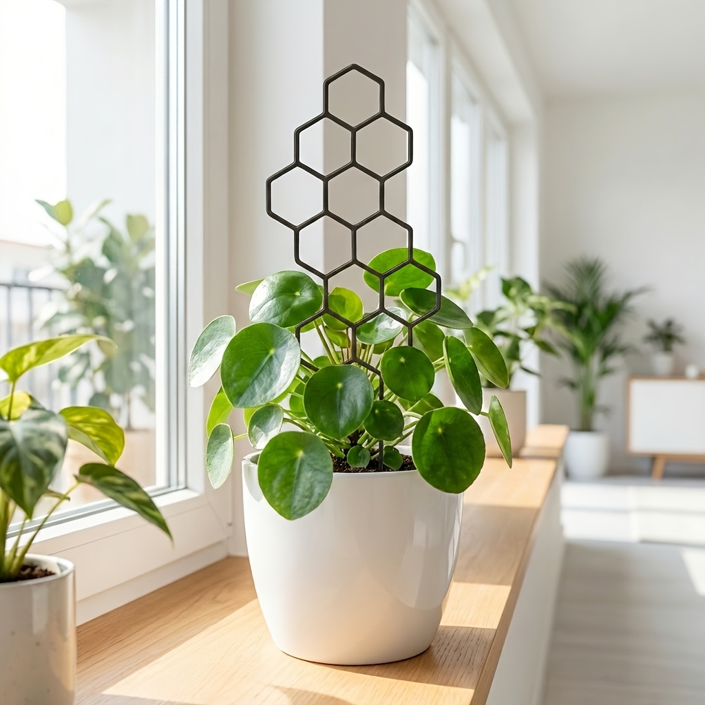1/2 แพ็ค โครงตาข่ายสำหรับปลูกต - Indoor Herb Garden บทวิจารณ์และราคา