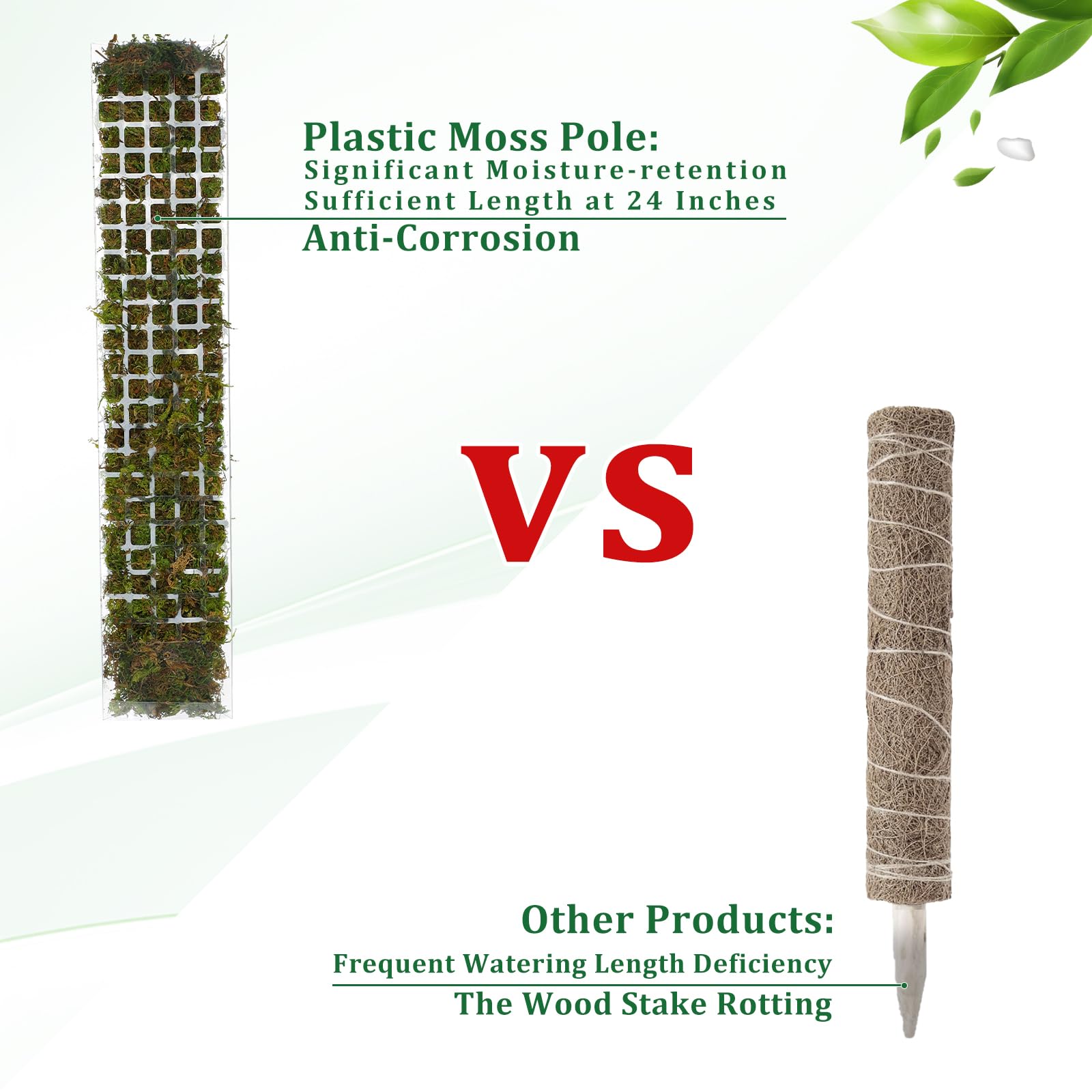 MOSS POLE พลาสติกยืนในร่มพืชปี - Indoor Herb Garden บทวิจารณ์และราคา