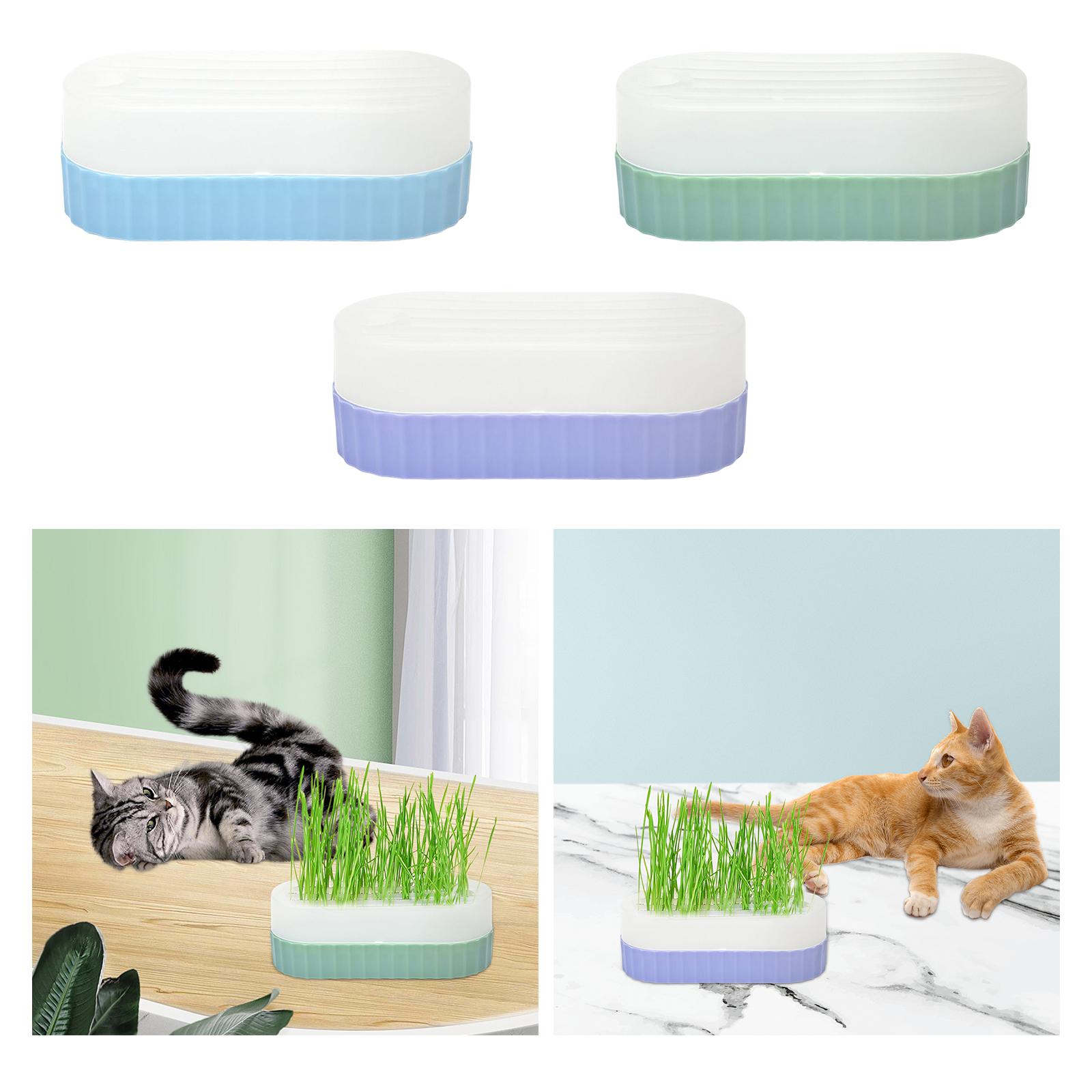 ถาดเพาะเมล็ดพร้อมรูระบายน้ำ สำ - Hydroponic Kit บทวิจารณ์และราคา