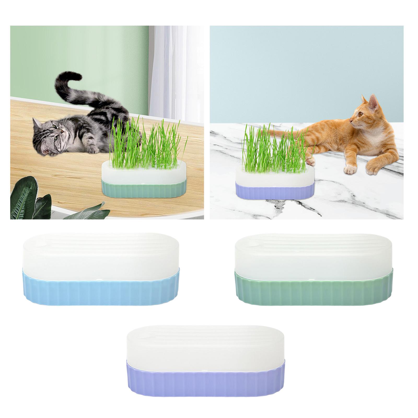 ถาดเพาะเมล็ดพร้อมรูระบายน้ำ สำ - Hydroponic Kit บทวิจารณ์และราคา