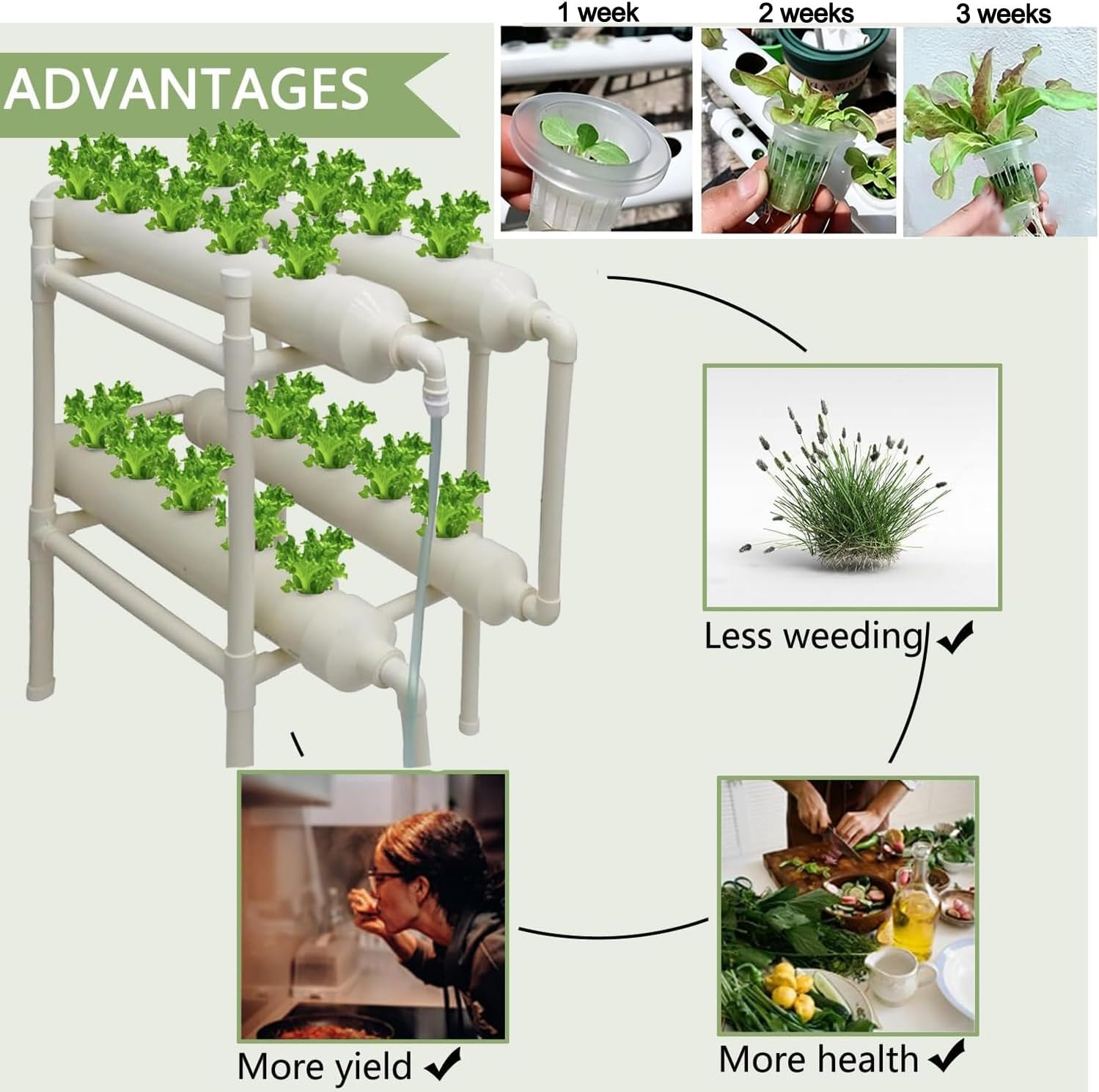 ระบบปลูกพืชแบบไฮโดรโพนิก 20 หล - Hydroponic Kit บทวิจารณ์และราคา