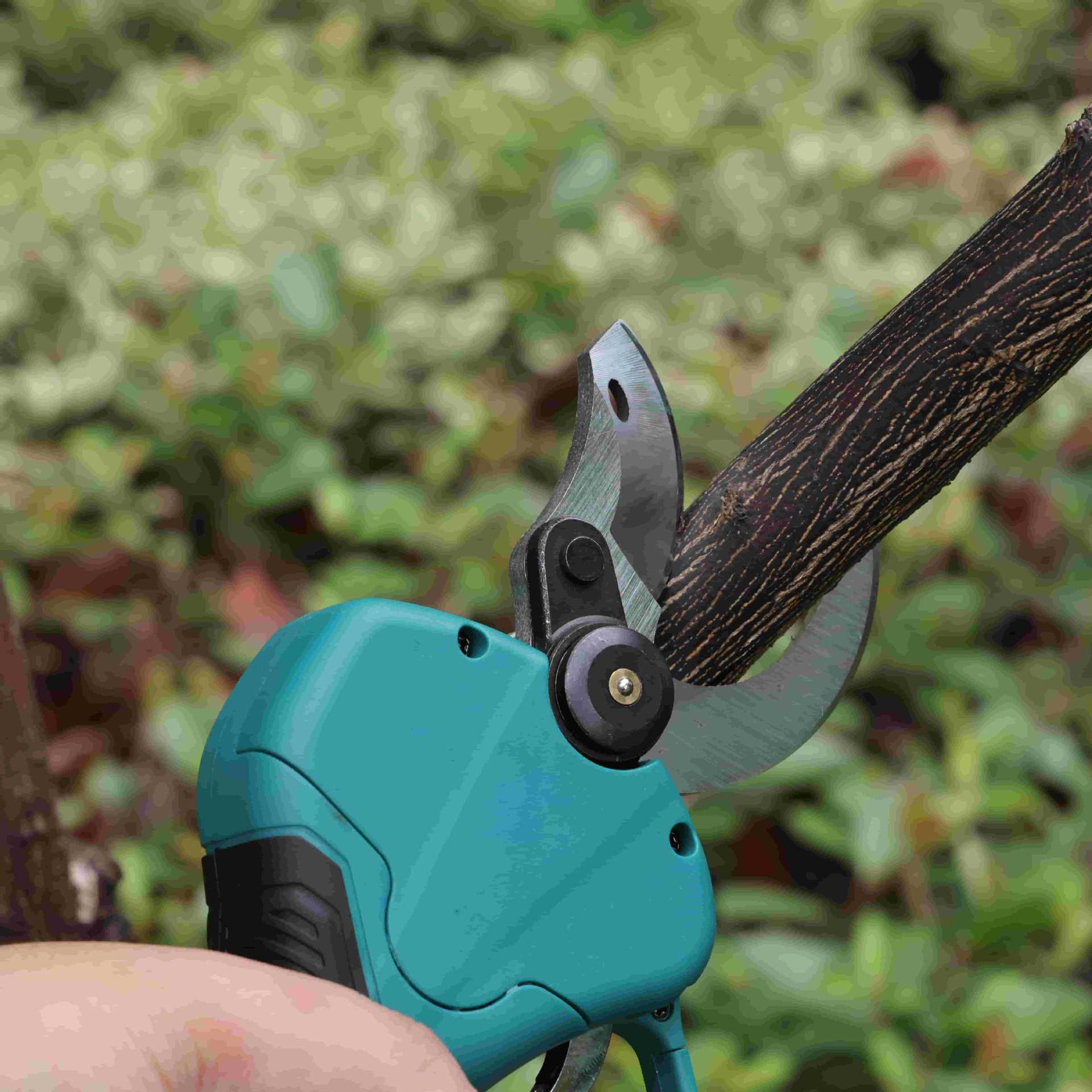 กรรไกรตัดแต่งกิ่งไม้สูงแบบใช้แ - Pruning Shears บทวิจารณ์และราคา