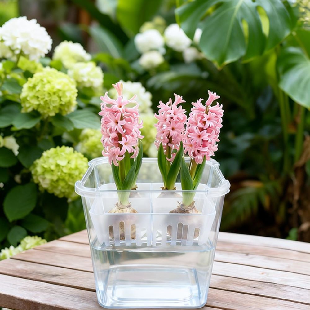 กระถางไฮโดรโปนิกส์สำหรับปลูกทิ - Plant Pot บทวิจารณ์และราคา