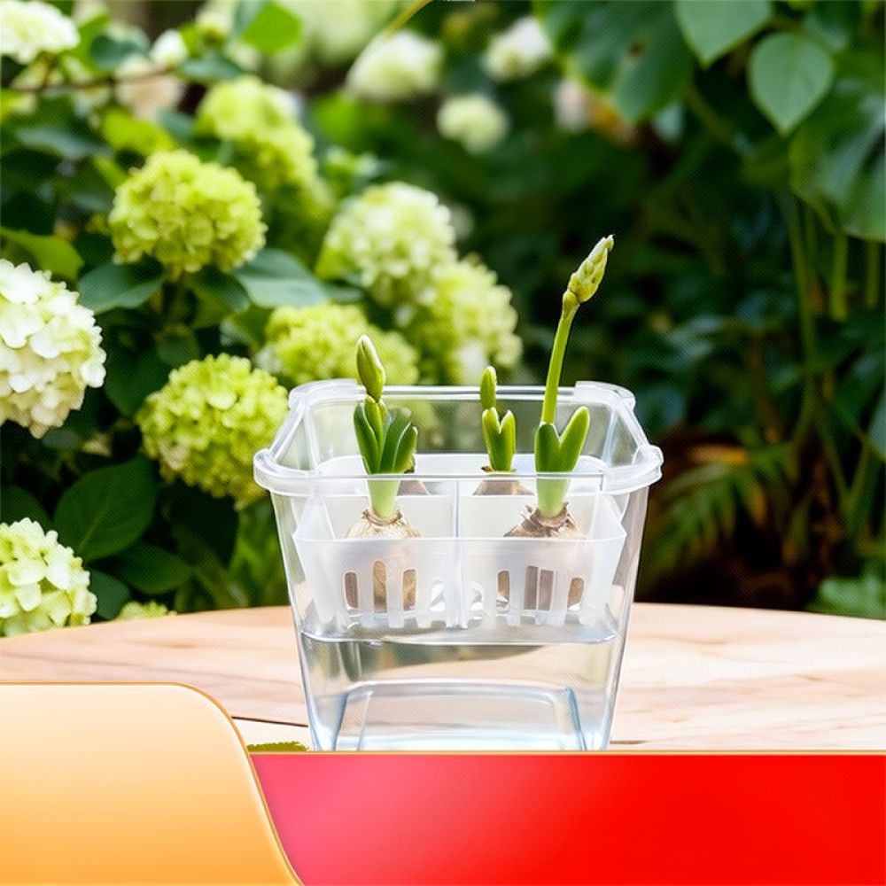 กระถางไฮโดรโปนิกส์สำหรับปลูกทิ - Plant Pot บทวิจารณ์และราคา