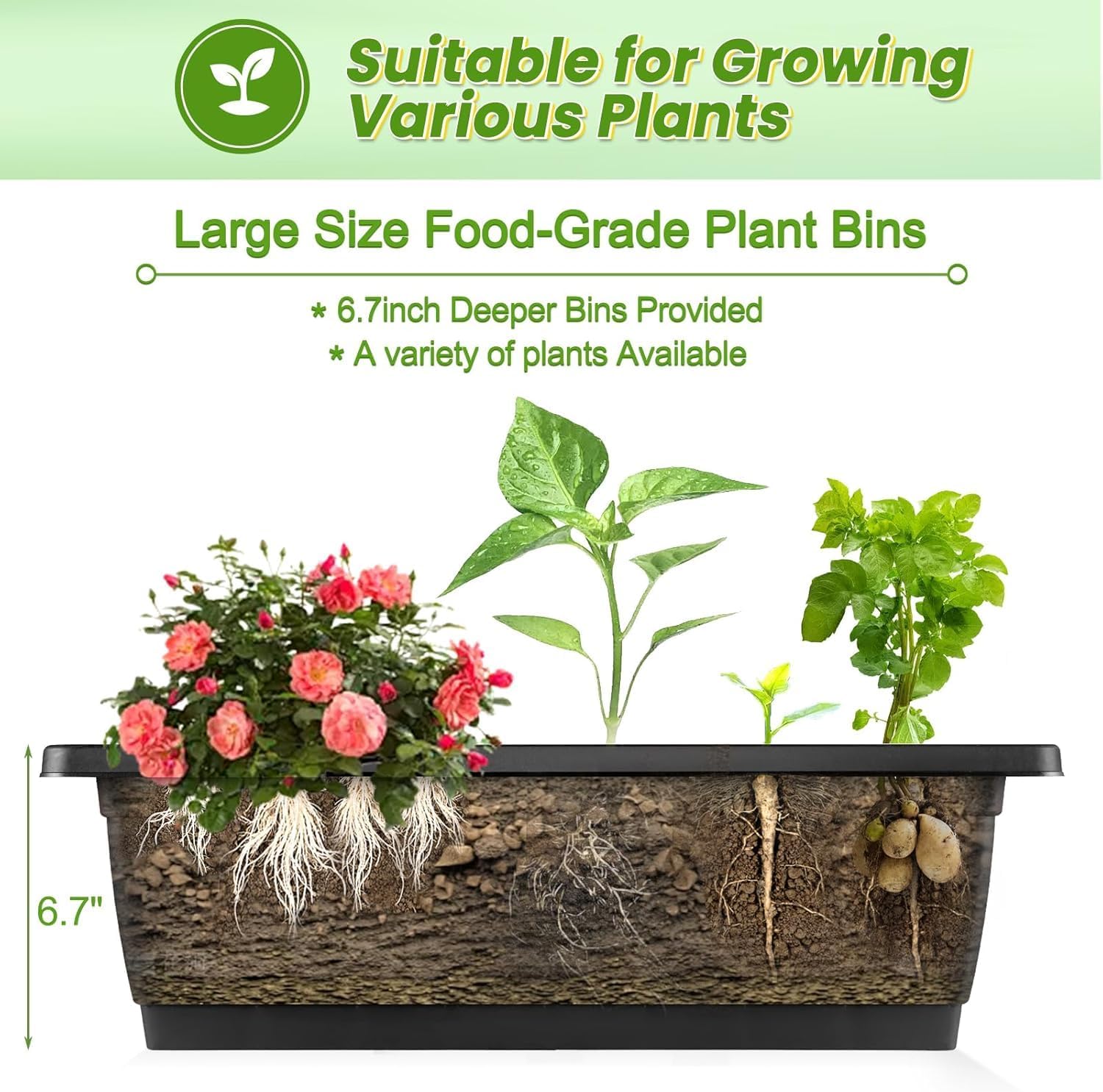 แปลงปลูกผักยกสูงแบบตั้งแนวตั้ง - Indoor Herb Garden บทวิจารณ์และราคา