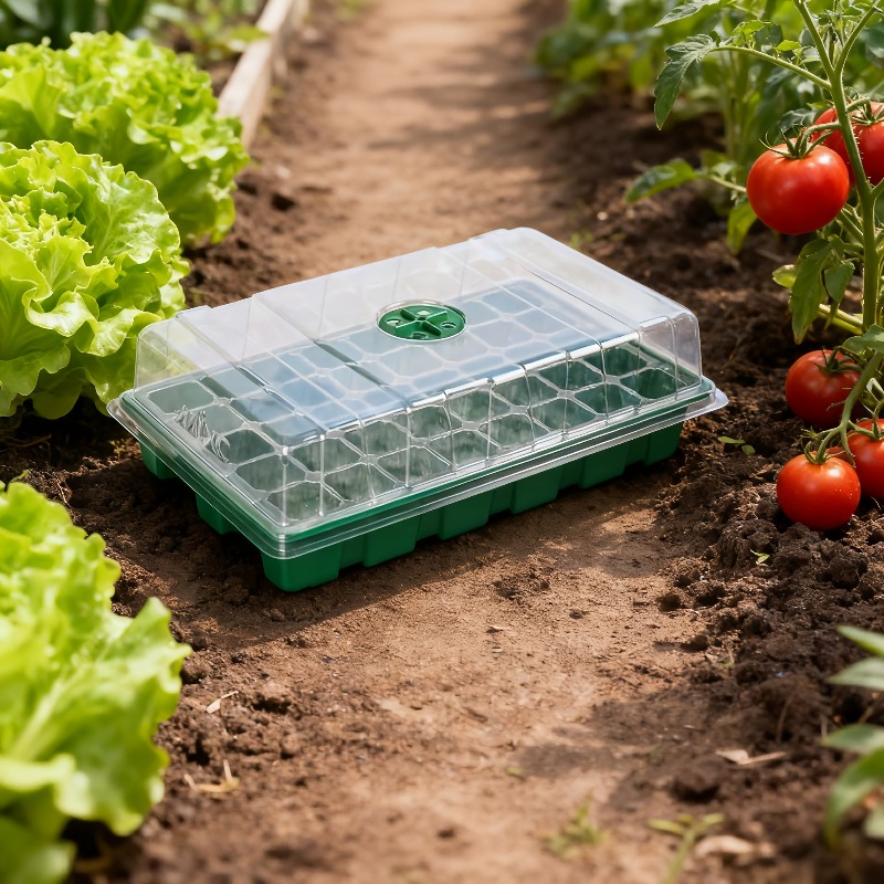 ชุดถาดเพาะกล้า 1/5 ชิ้น - ถาดเ - Seed Starter Tray บทวิจารณ์และราคา
