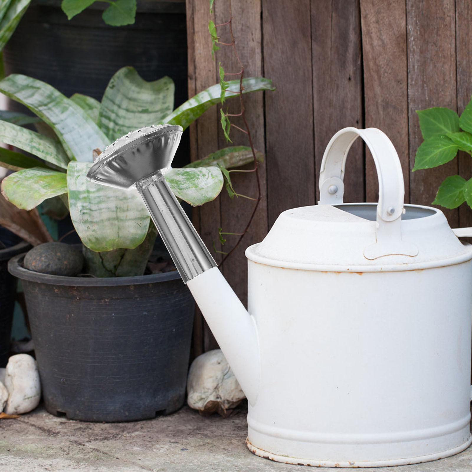 หัวฉีดพ่นน้ำสำหรับบัวรดน้ำ สแต - Watering Can บทวิจารณ์และราคา