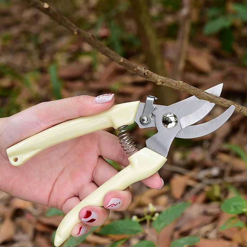 กรรไกรตัดแต่งกิ่งไม้แบบประหยัด - Pruning Shears บทวิจารณ์และราคา