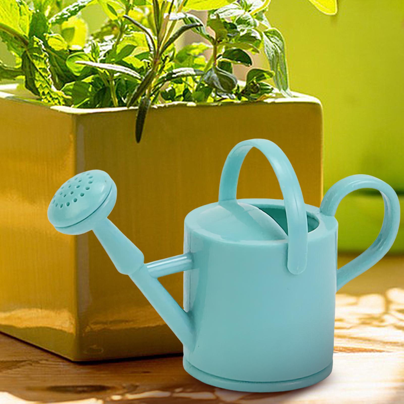 บัวรดน้ำเด็กน่ารักขนาดเล็ก ปรั - Watering Can บทวิจารณ์และราคา