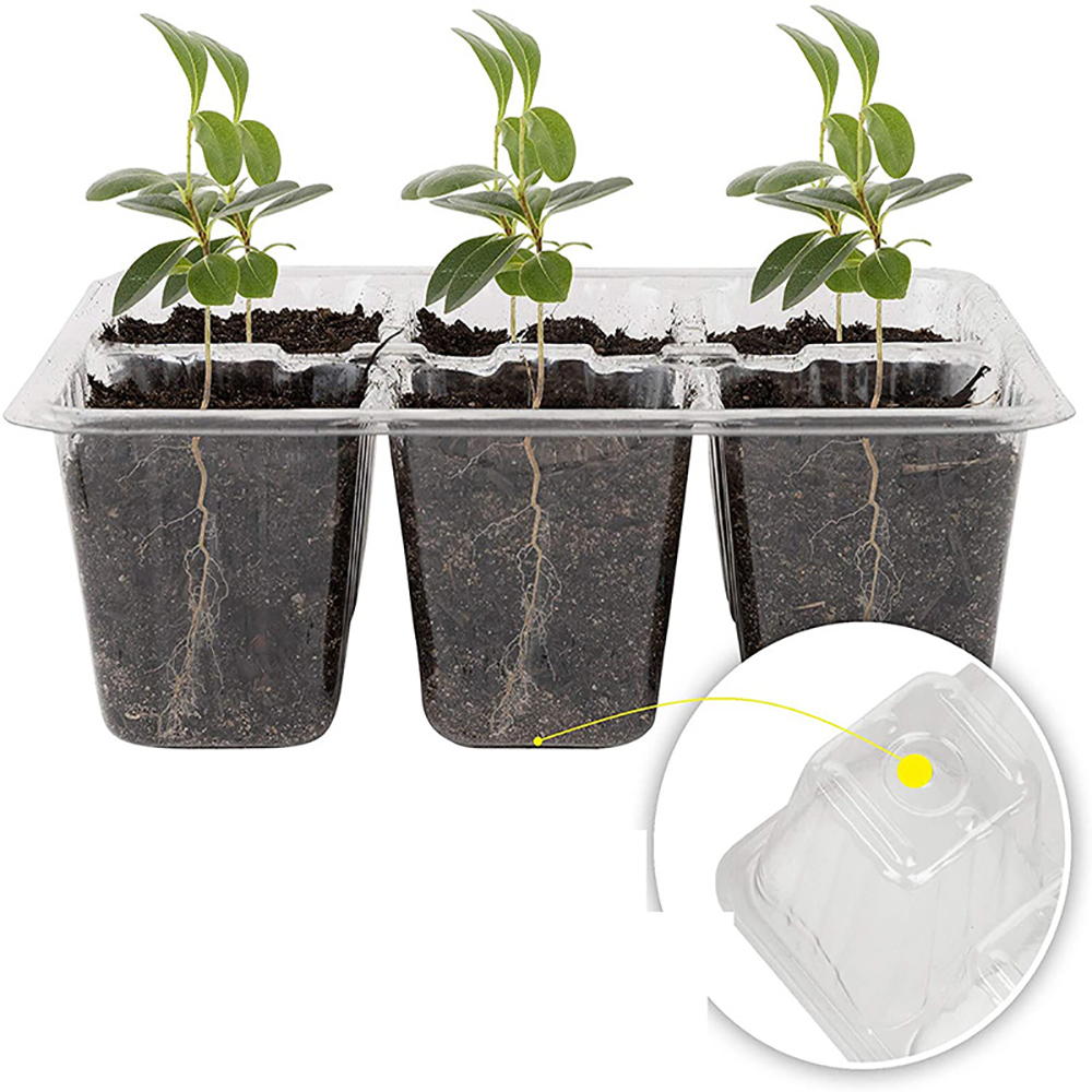 ถาดเพาะเมล็ดพร้อมไฟ Grow ชุดเพ - Seed Starter Tray บทวิจารณ์และราคา