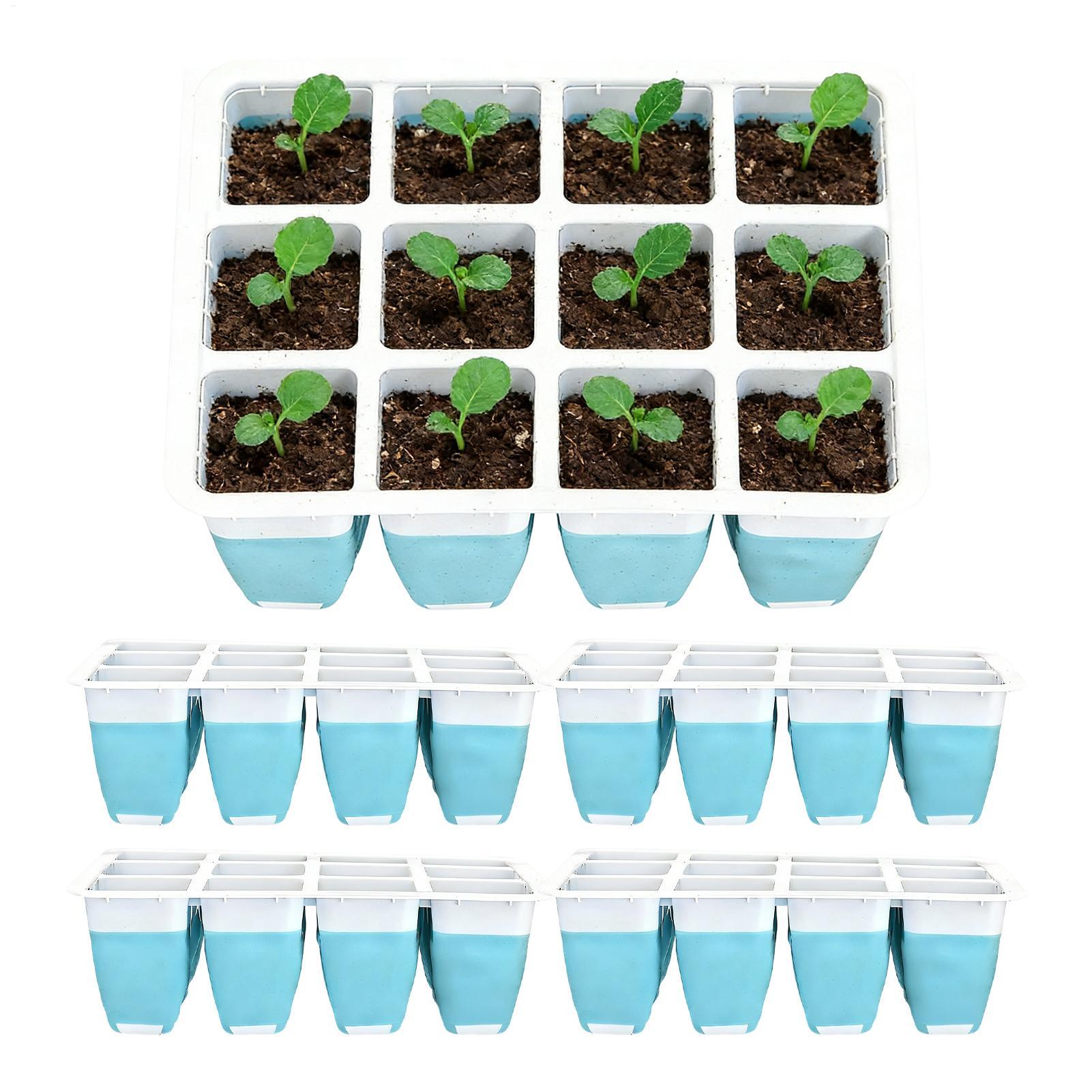 ถาดเพาะเมล็ดซิลิโคน 5 ชิ้น 60  - Seed Starter Tray บทวิจารณ์และราคา