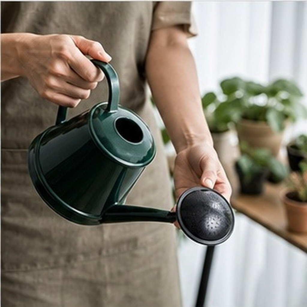 หัวฉีดสปริงเกลอร์สำหรับบัวรดน้ - Watering Can บทวิจารณ์และราคา