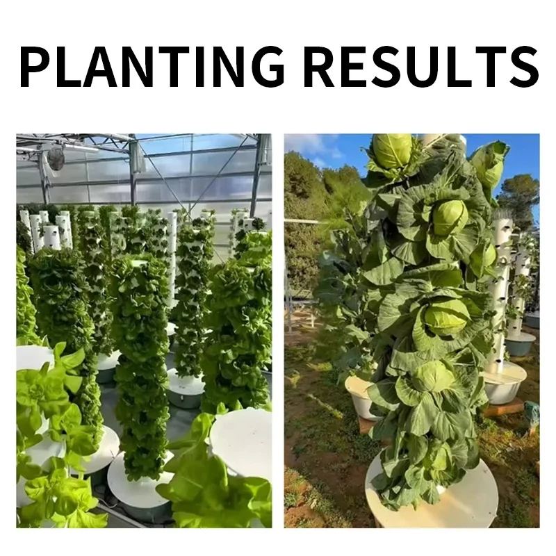 ชุดอุปกรณ์ปลูกพืชแบบไฮโดรโปนิก - Hydroponic Kit บทวิจารณ์และราคา