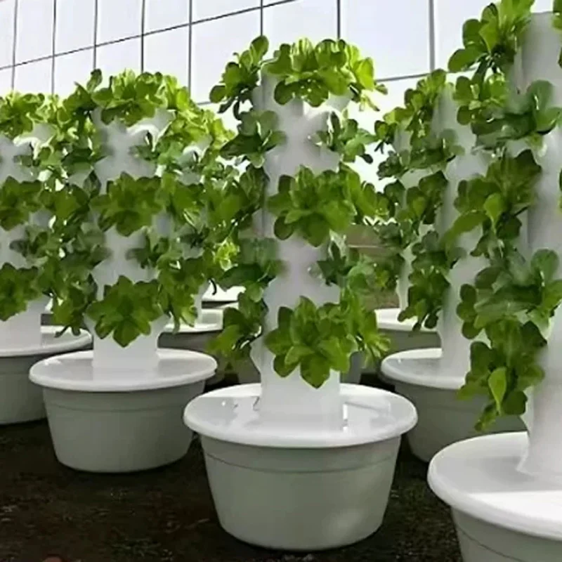 ชุดอุปกรณ์ปลูกพืชแบบไฮโดรโปนิก - Hydroponic Kit บทวิจารณ์และราคา