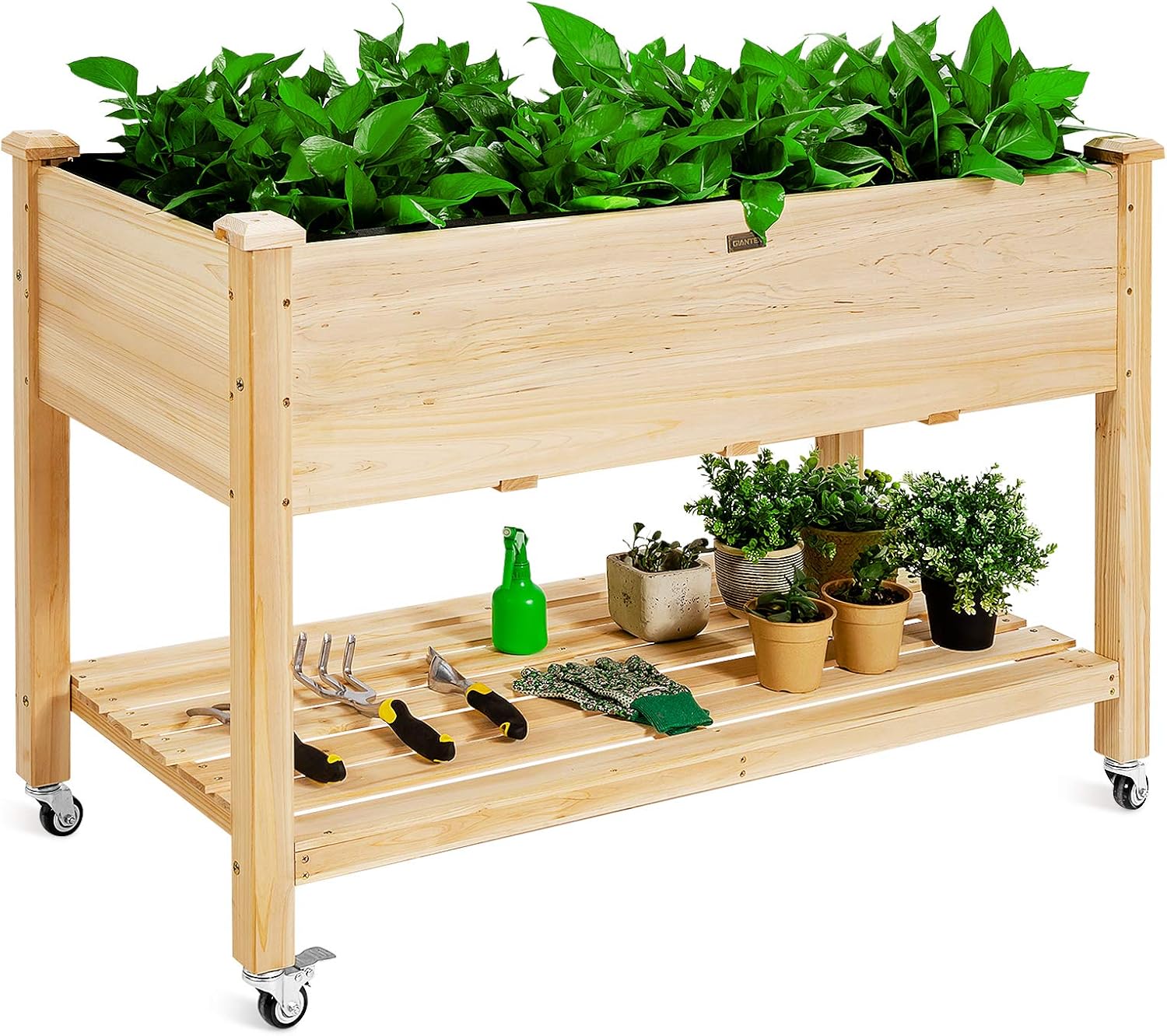 แปลงปลูกผักยกพื้นแบบมีล้อสำหรั - Raised Garden Bed บทวิจารณ์และราคา