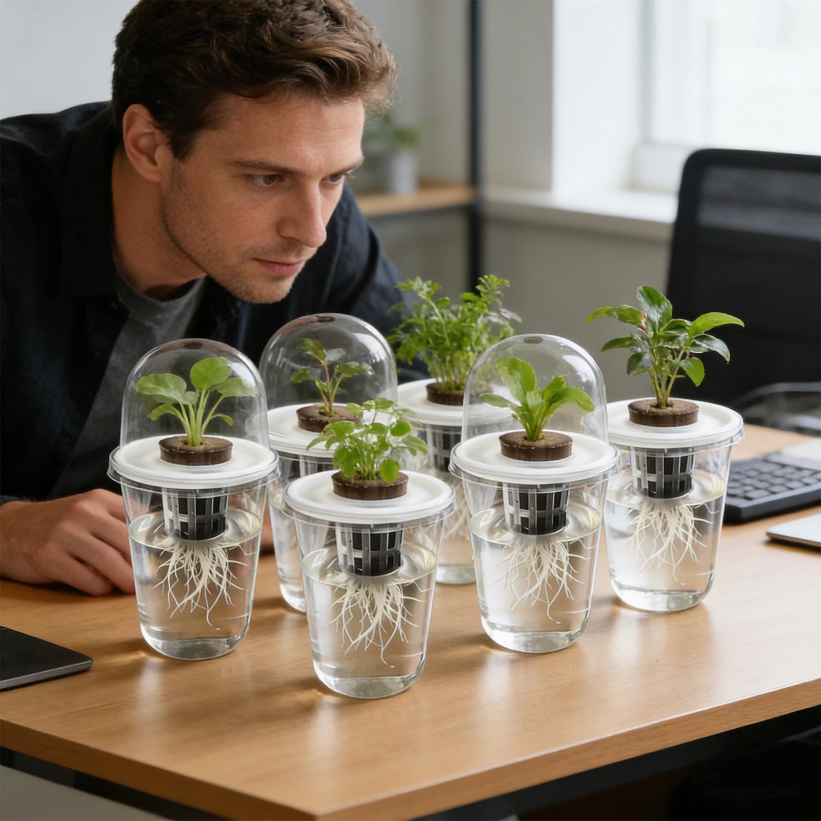 ถ้วยเพาะเมล็ดแบบใส 1-5 ชิ้น สำ - Seed Starter Tray บทวิจารณ์และราคา