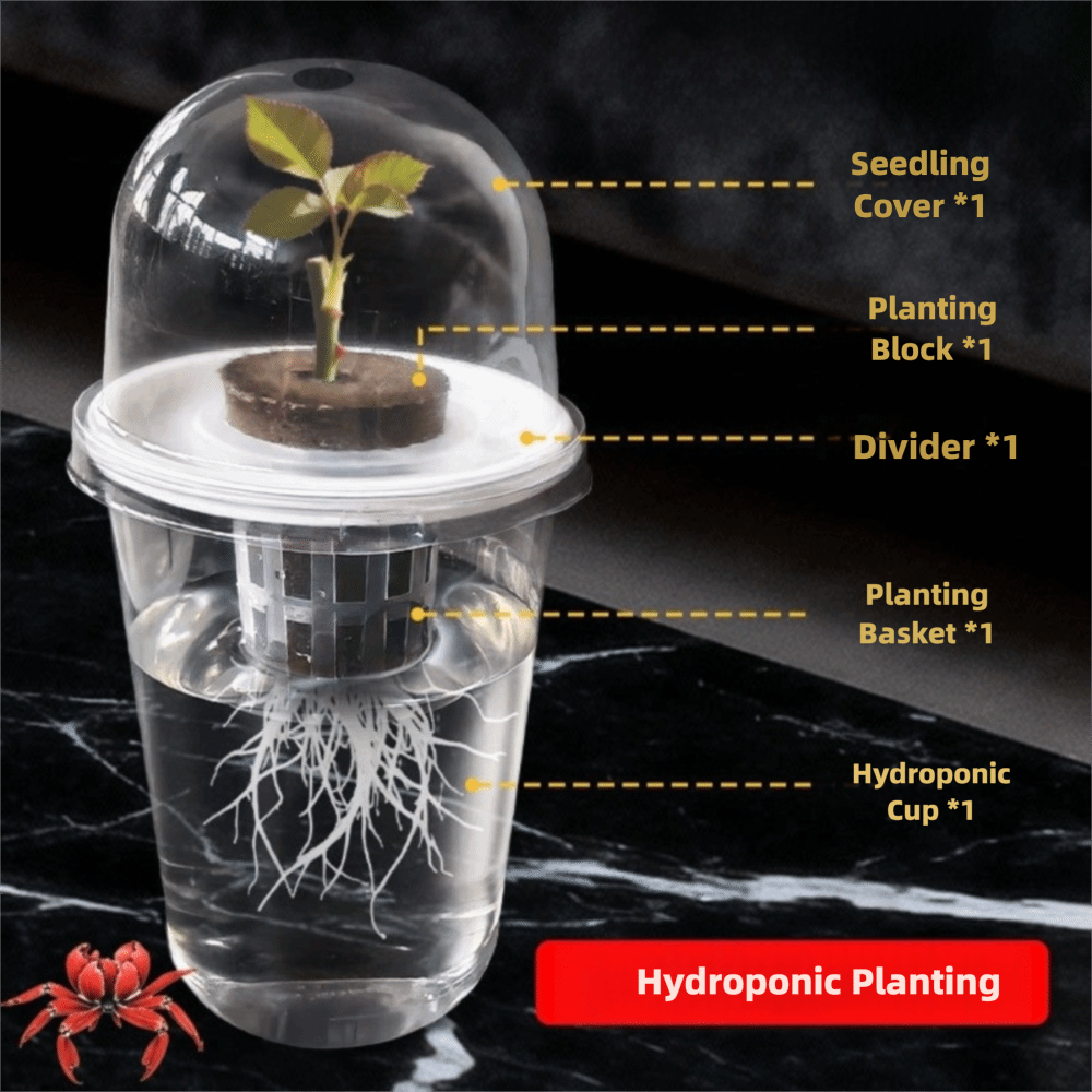ถ้วยเพาะเมล็ดแบบใส 1-5 ชิ้น สำ - Seed Starter Tray บทวิจารณ์และราคา