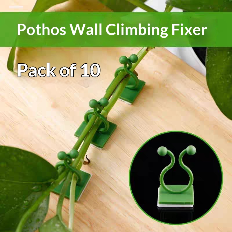 คลิปยึดต้นไม้แบบมีกาวในตัวสำหร - Indoor Herb Garden บทวิจารณ์และราคา