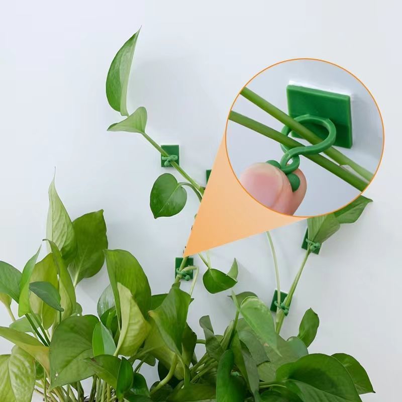 คลิปยึดต้นไม้แบบมีกาวในตัวสำหร - Indoor Herb Garden บทวิจารณ์และราคา