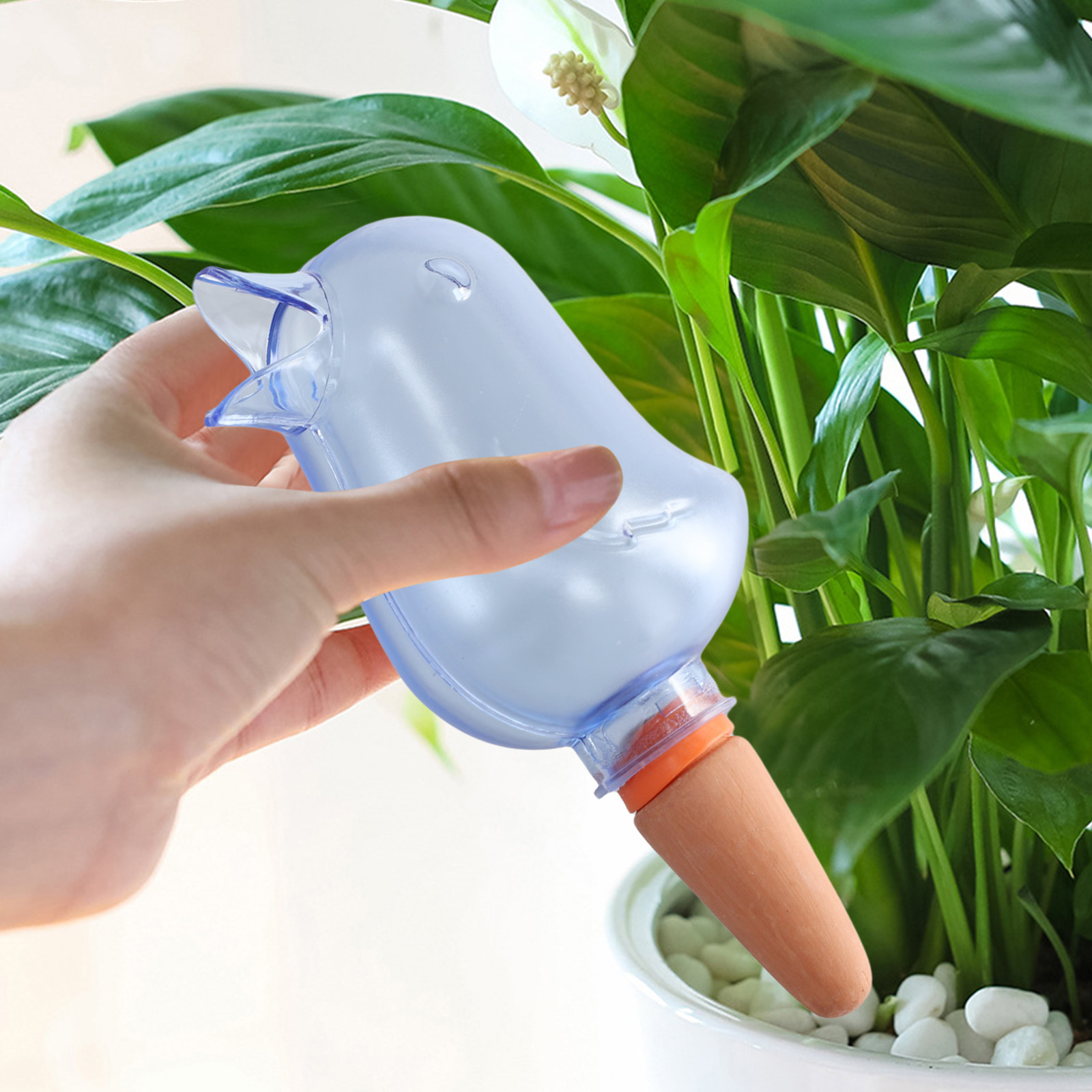 โรงงานอัตโนมัติระบบชลประทานหยด - Self Watering Planter บทวิจารณ์และราคา