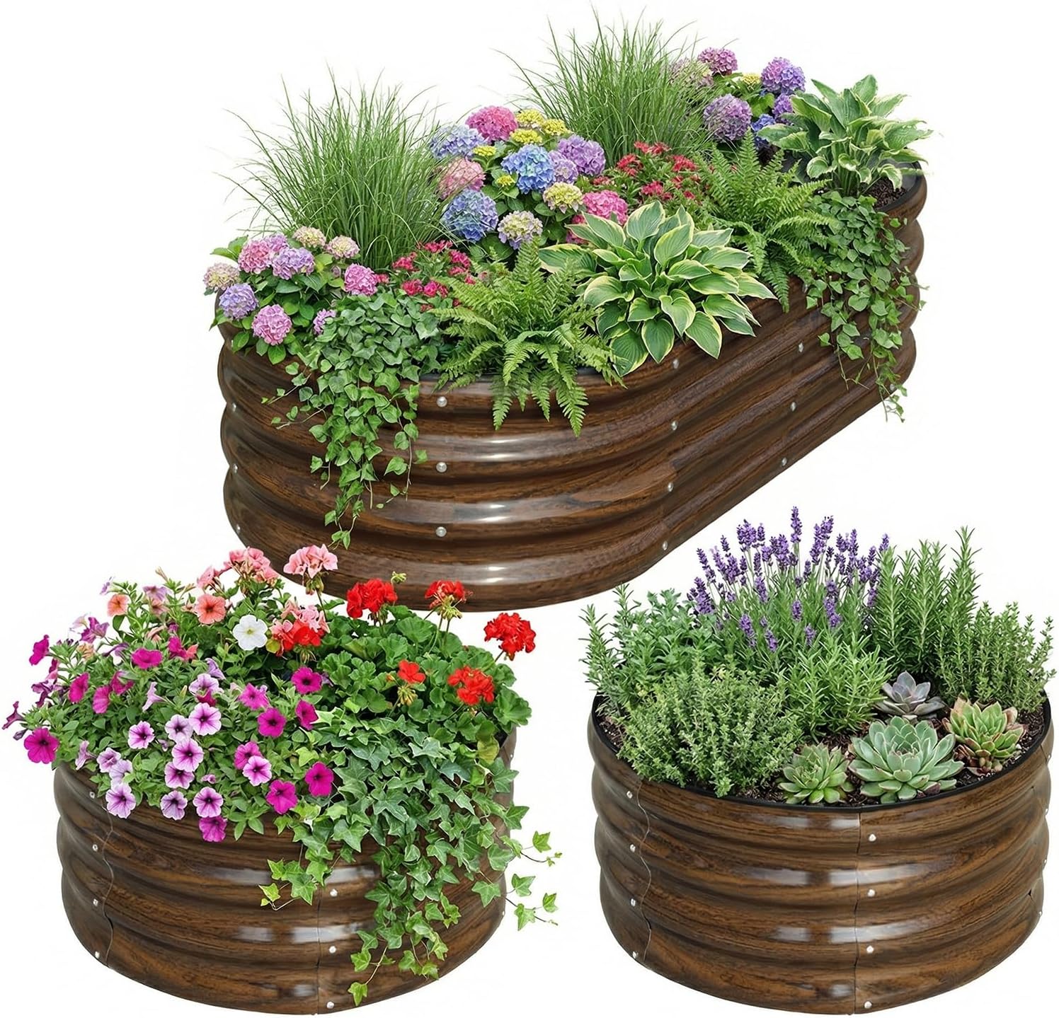 ชุดแปลงแปลงปลูกผักยกพื้นเหล็กช - Raised Garden Bed บทวิจารณ์และราคา