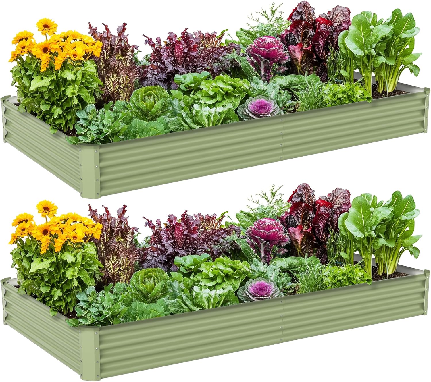 แปลงปลูกผักกลางแจ้งแบบยกพื้น ท - Raised Garden Bed บทวิจารณ์และราคา
