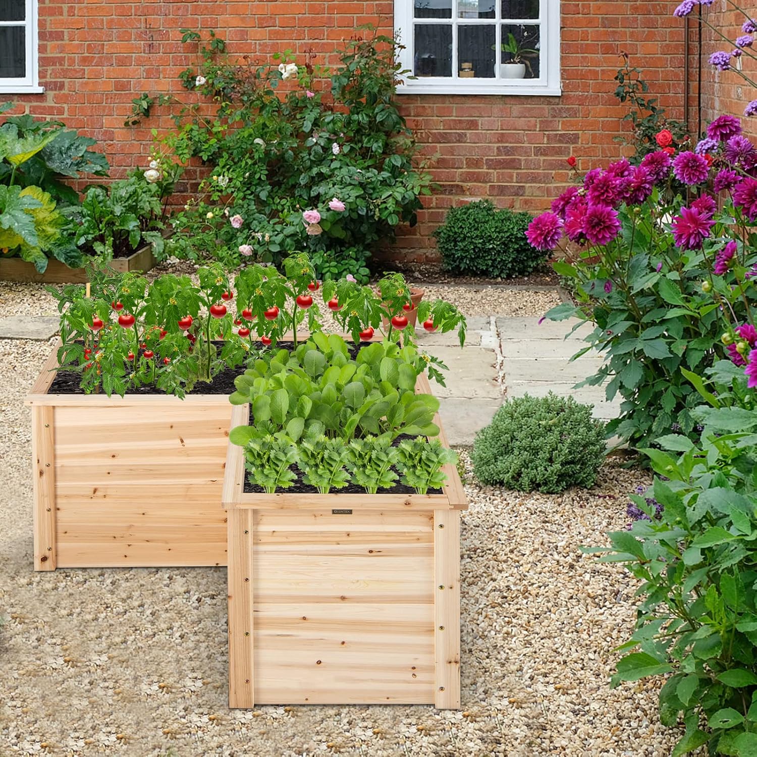 แปลงปลูกผักยกพื้นไม้เนื้อแข็งส - Raised Garden Bed บทวิจารณ์และราคา