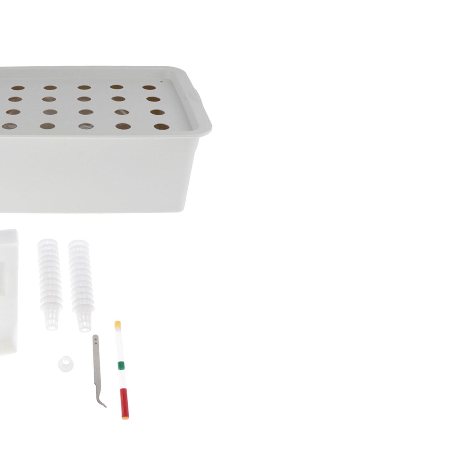 ระบบปลูกผักไฮโดรโปนิกส์แบบไร้ด - Hydroponic Kit บทวิจารณ์และราคา