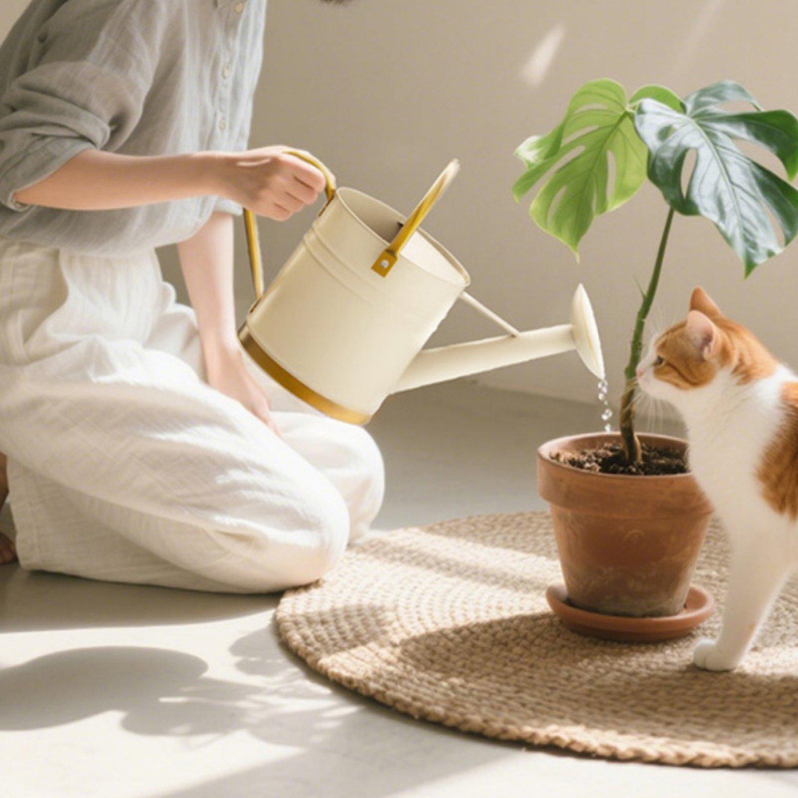 กระบอกน้ำรดต้นไม้แบบปากยาว ป้อ - Watering Can บทวิจารณ์และราคา