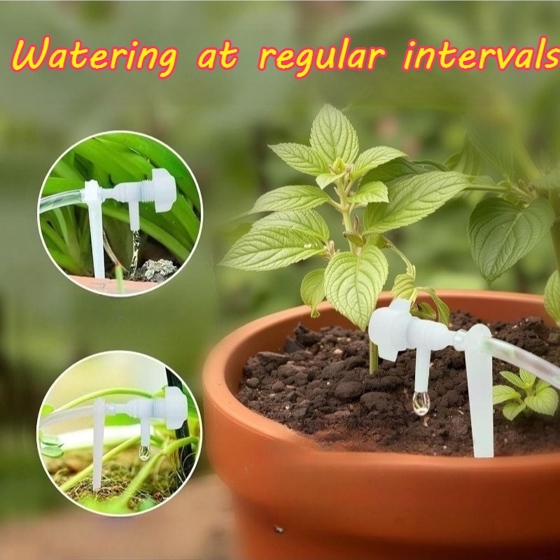 อุปกรณ์ให้น้ำอัตโนมัติ ตัวตั้ง - Watering Can บทวิจารณ์และราคา