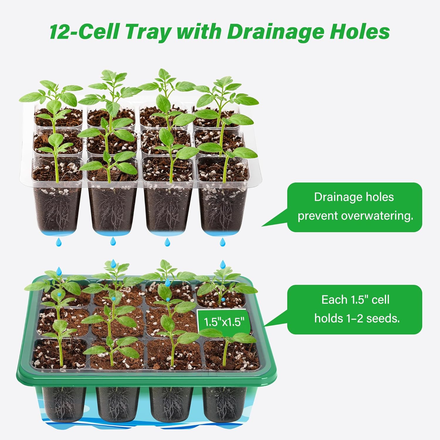 ชุดเริ่มต้นเพาะเมล็ดพร้อมถาดเพ - Seed Starter Tray บทวิจารณ์และราคา