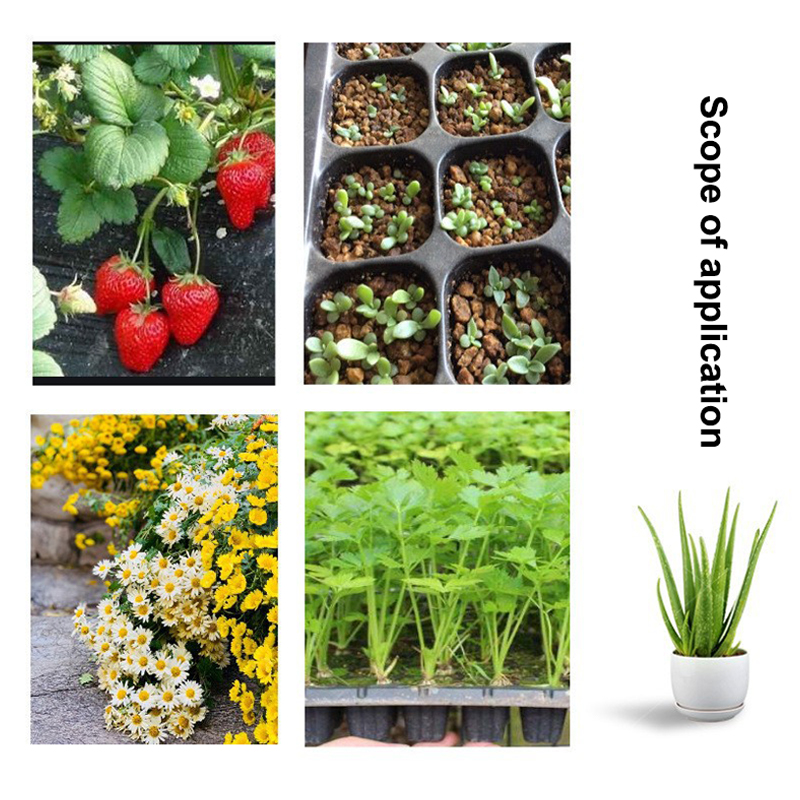 ถาดเพาะกล้าพลาสติก 10 ชิ้น ถาด - Seed Starter Tray บทวิจารณ์และราคา