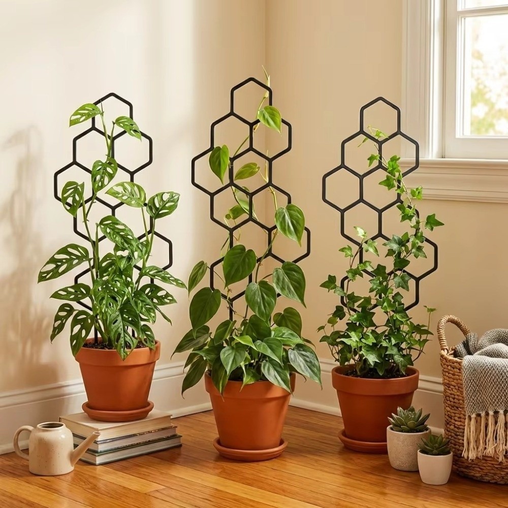 โครงตาข่ายพลาสติกกันสนิมสำหรับ - Indoor Herb Garden บทวิจารณ์และราคา