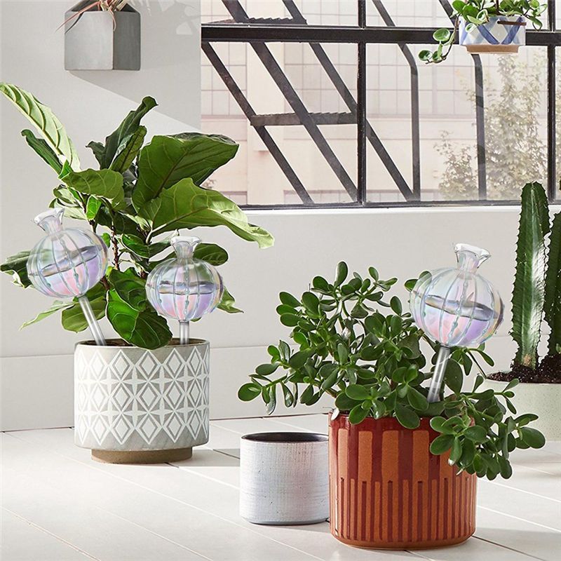 AA94-หลอดให้น้ำต้นไม้ ลูกบอลให - Self Watering Planter บทวิจารณ์และราคา
