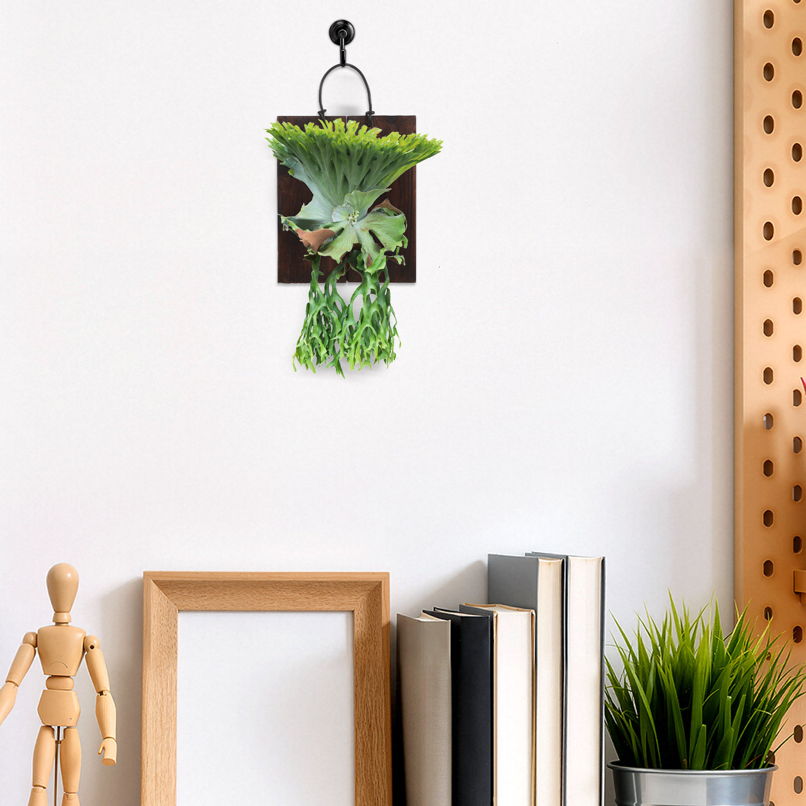 แผ่นรองสำหรับติดตั้งเฟิร์นเขาส - Vertical Planter บทวิจารณ์และราคา
